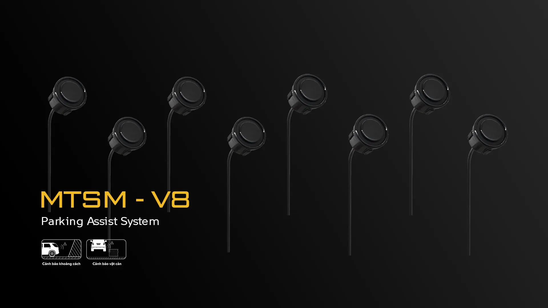 MTSM V8